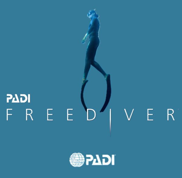 April 14th 2026 <br>7pm to 10pm <br> PADI Basic Freediver (pool only)