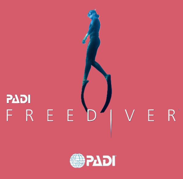 July 25-26th 2026<br>2026 PADI Freediver (Open Water)